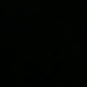 Meet your Posher, Danae